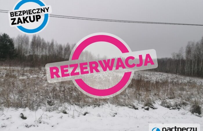 PN572384