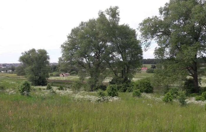 PN530905