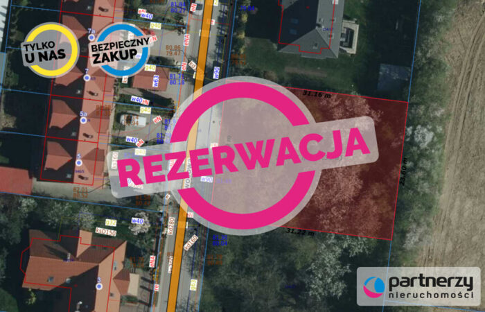PAN373946