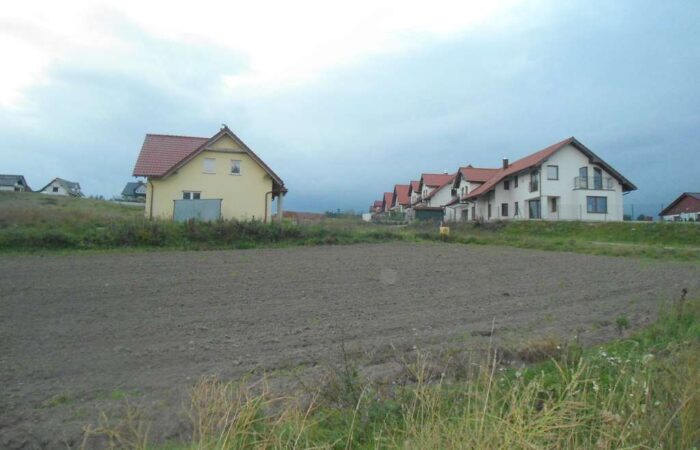 PN523942