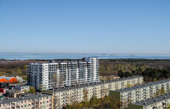 PAN427451